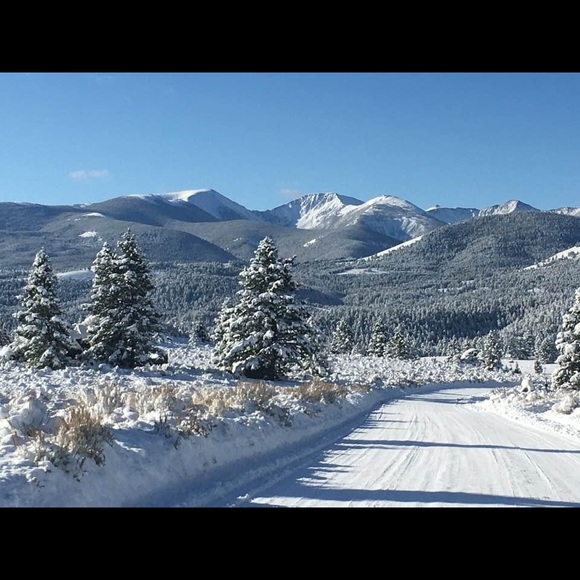 Meet your Posher, Julianne - Picture 1 of 1